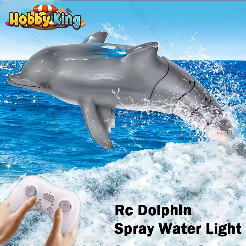 Rc Boot 2,4G Fernbedienung Del – Rc Hobbyking Shop Bewertung und Preis